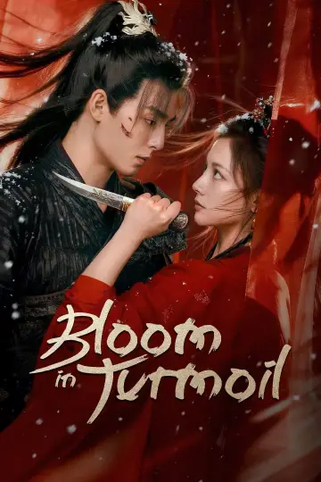 芳华里 plakat