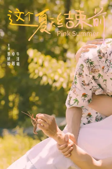 这个夏天结束前 plakat