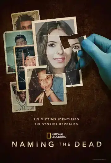 Plakat do serialu "Zidentyfikowani po latach" #1483265