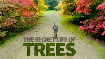 Zasłona do serialu "The Secret Life of Trees" #1677273