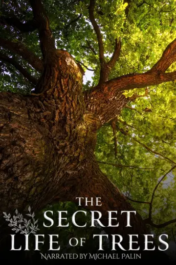 The Secret Life of Trees plakat