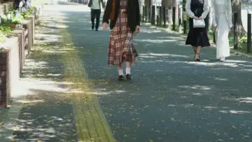 Zasłona do serialu "To spróbuj zrobić to ty!" #1504014