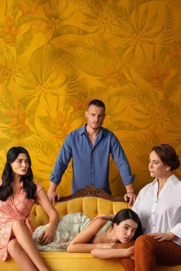 Plakat do serialu "Drugie serce" #1479628