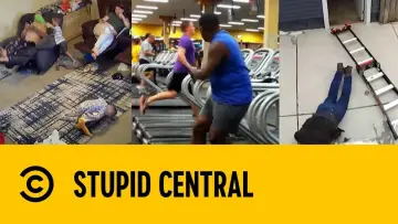 Zasłona do serialu "Stupid Central" #1317471