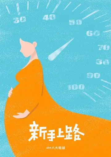 新手上路 plakat