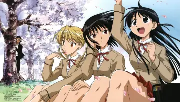 Zasłona к сериалу "スクールランブル" #1413149
