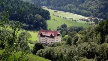 Zasłona do serialu "Die Schwarzwaldklinik" #1660631