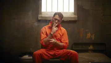 Zasłona do serialu "Call Me Fitz" #1855821