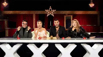 Zasłona do serialu "Szwecja ma talent" #1547787