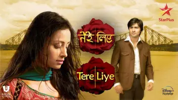 Tere Liye plakat