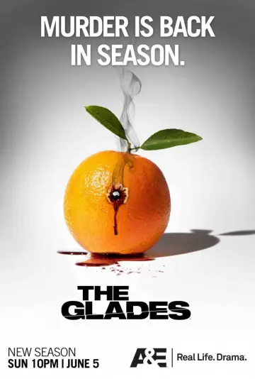 Plakat к сериалу "Zbrodnie Palm Glade" #1364436
