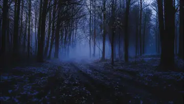 Zasłona к сериалу "R. L. Stine