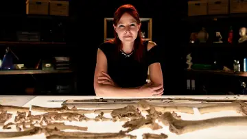 Zasłona do serialu "Digging for Britain" #1552476