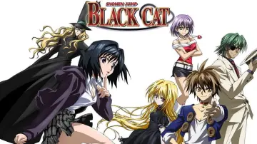 Zasłona к сериалу "ブラックキャット" #1453001