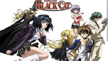 Zasłona к сериалу "ブラックキャット" #1453006