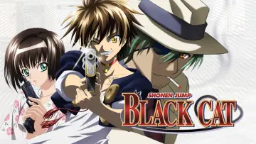 Zasłona к сериалу "ブラックキャット" #1453008