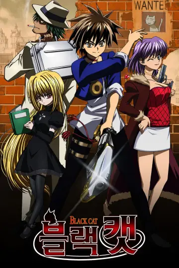 Plakat к сериалу "ブラックキャット" #1453020