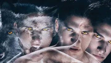 Zasłona к сериалу "Teen Wolf: Nastoletni wilkołak" #1270600