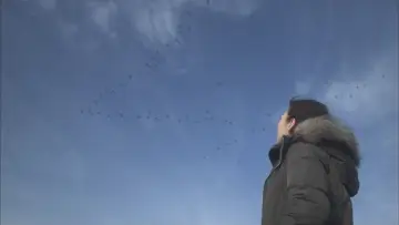 Zasłona do serialu "Matka" #1559996