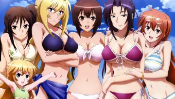 Zasłona к сериалу "Sekirei" #1306047