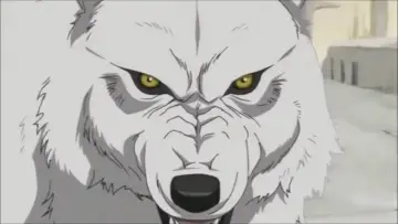 Zasłona к сериалу "Wolf’s Rain" #1460306