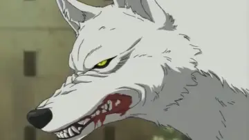 Zasłona к сериалу "Wolf’s Rain" #1460308