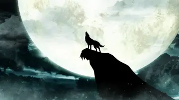 Zasłona к сериалу "Wolf’s Rain" #1460309