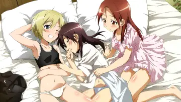 Zasłona к сериалу "Strike Witches" #1387651