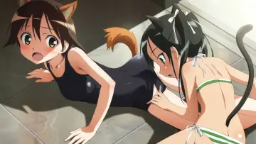 Zasłona к сериалу "Strike Witches" #1387657
