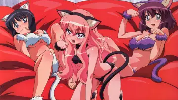 Zasłona к сериалу "Zero no Tsukaima" #1331176