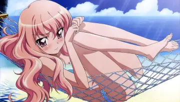 Zasłona к сериалу "Zero no Tsukaima" #1331178