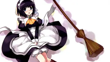 Zasłona к сериалу "Zero no Tsukaima" #1331184