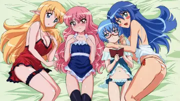 Zasłona к сериалу "Zero no Tsukaima" #1331210