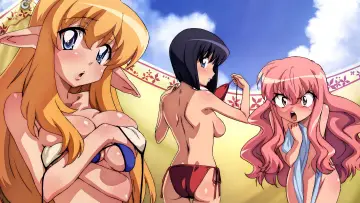 Zasłona к сериалу "Zero no Tsukaima" #1331212
