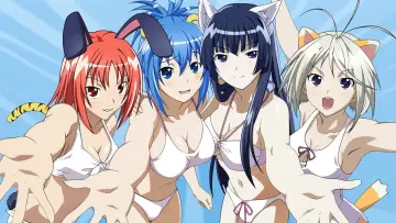 Zasłona do serialu "けんぷファー" #1437922
