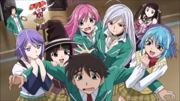 Zasłona do serialu "Rosario + Vampire" #1459618