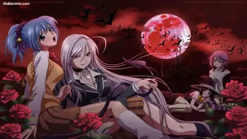 Zasłona do serialu "Rosario + Vampire" #1459619