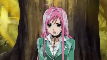Zasłona do serialu "Rosario + Vampire" #1459622