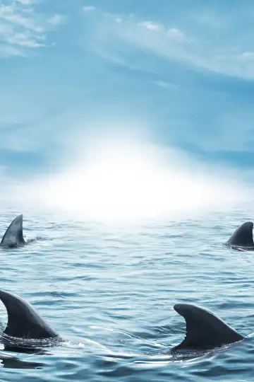 Plakat к сериалу "Shark Tank" #1305261