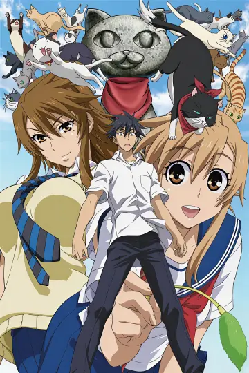 Plakat do serialu "Nyan Koi!" #1721586