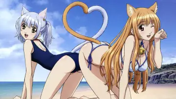 Zasłona к сериалу "Asobi ni Iku yo!" #1451523