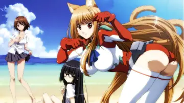 Zasłona к сериалу "Asobi ni Iku yo!" #1451527