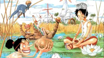 Zasłona к сериалу "One Piece" #1220066