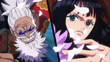 Zasłona do serialu "One Piece" #1654243