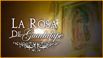 Zasłona к сериалу "Róża Guadalupe" #1315759