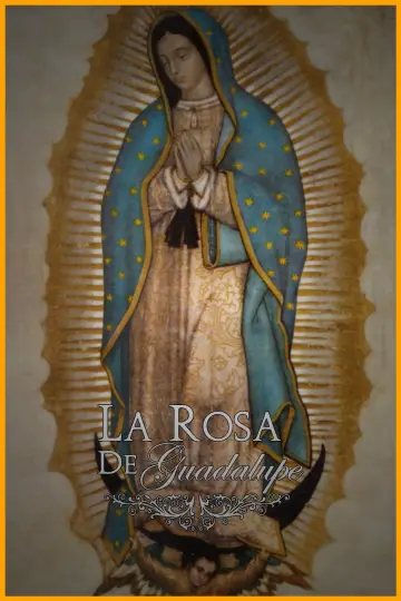 Plakat к сериалу "Róża Guadalupe" #1315761