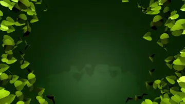 Zasłona do serialu "Echte Meisjes in de Jungle" #1790848