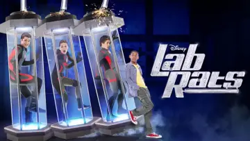 Zasłona к сериалу "Szczury laboratoryjne" #1355157