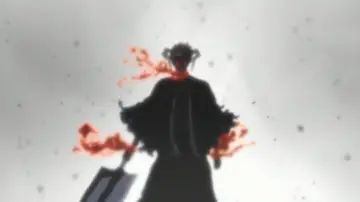 Zasłona do serialu "Bleach" #1534537