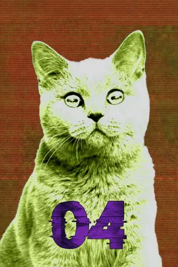 Sezon 4